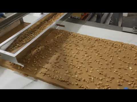 Vibratory Feeder Spreads Peanuts on Snack Food Conveyor