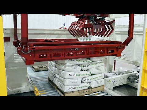 Entry-Level Gantry Palletizer Systems (10 bags/min)