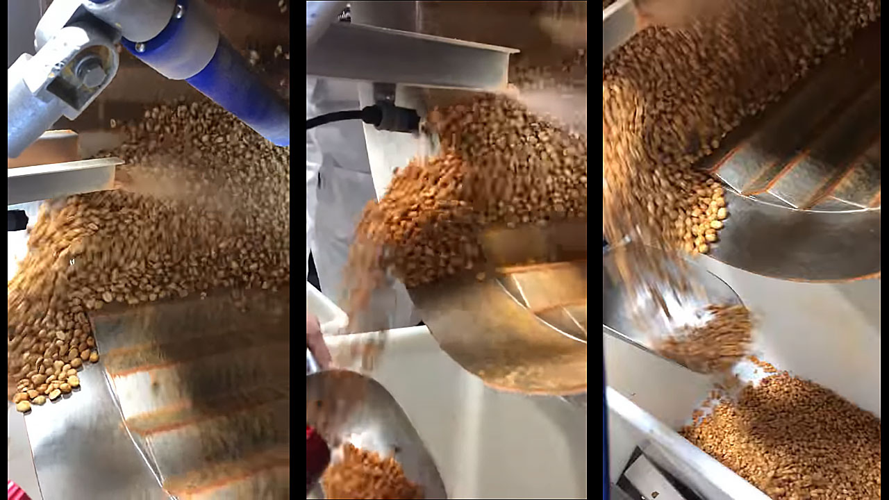 peanut coating machine