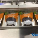 vacuum sealing pouches of pumpkin spice almonds vp 2440 002