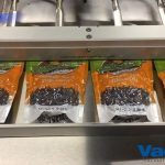 vacuum sealing pouches of pumpkin spice almonds vp 2440 003