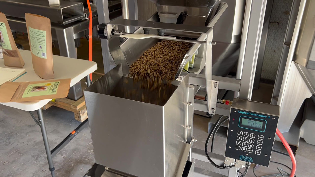dried mealworms being fed into weigh hopper