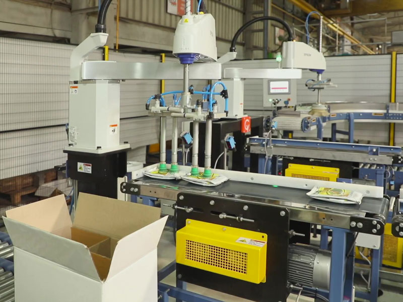 Robot filling and placing small bags and pouches into a carton or box