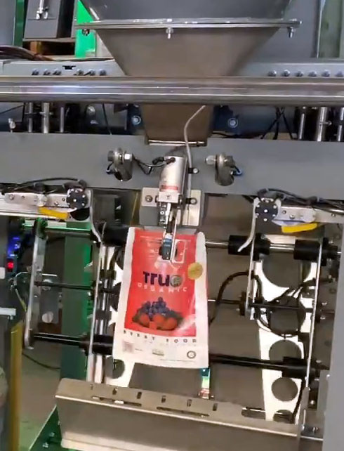 Stand Up Pouch Placer - Fruit Snacks