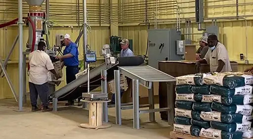 Bag Filling Machines