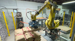 Palletizers and Wrappers