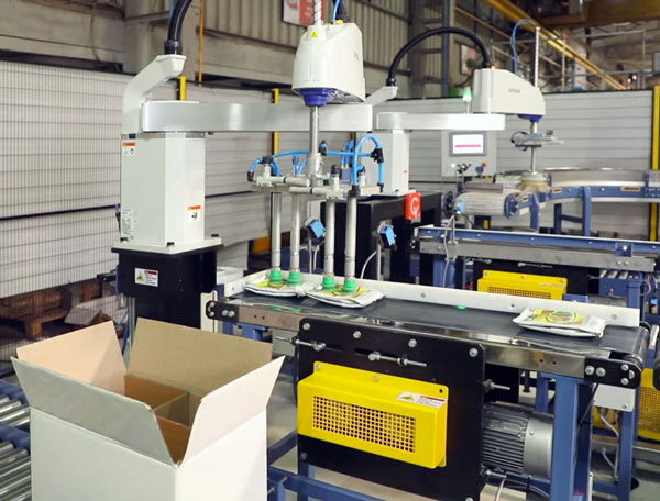 automatically fill boxes with small bags or pouches using a robot